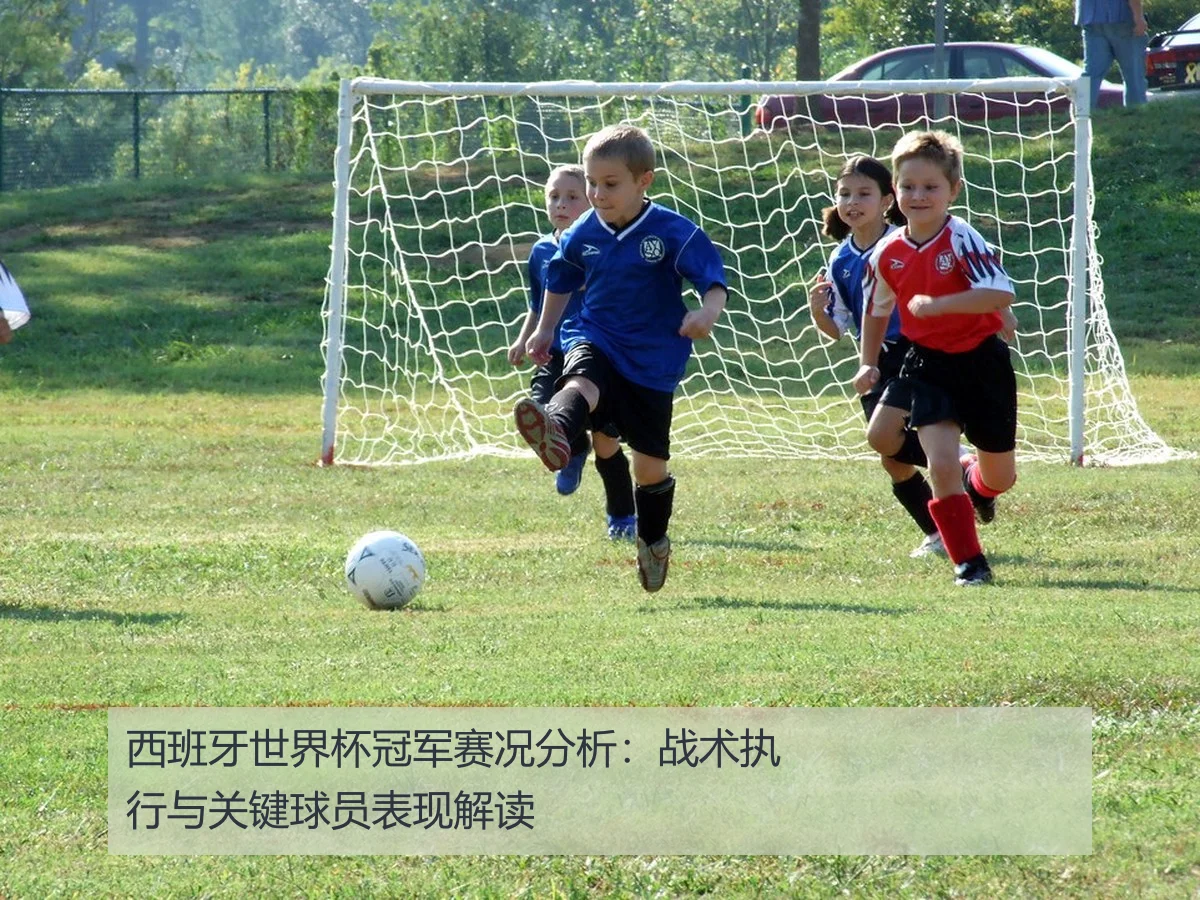 西班牙世界杯冠军赛况分析：战术执行与关键球员表现解读